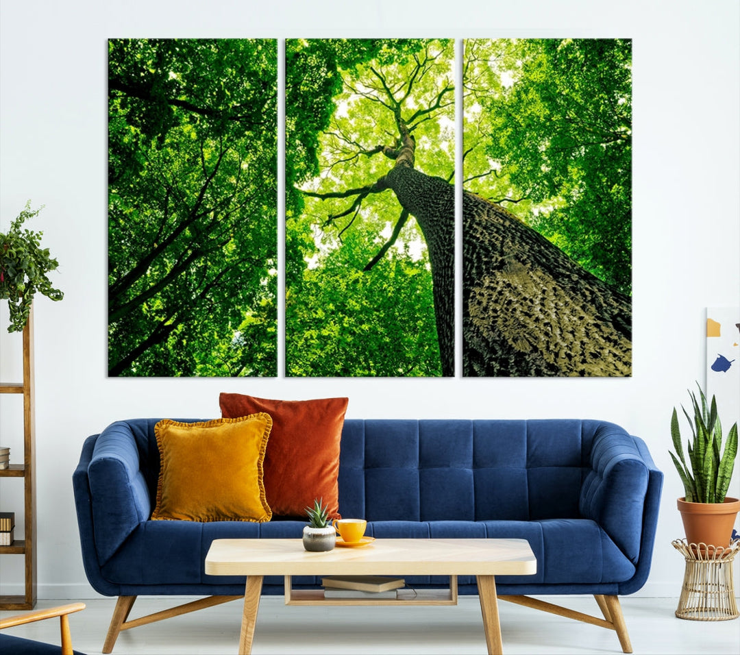 Green Tree View Taken from Ground Forest Giclee Canvas Framed Wall Art Print