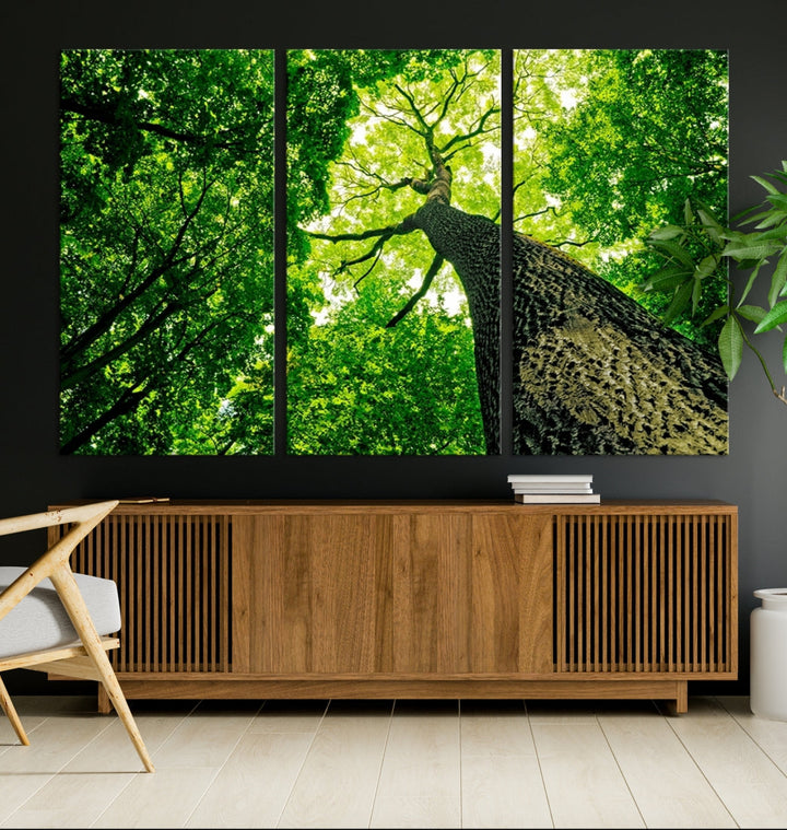 Green Tree View Taken from Ground Forest Giclee Canvas Framed Wall Art Print