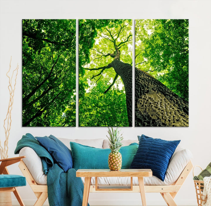 Green Tree View Taken from Ground Forest Giclee Canvas Framed Wall Art Print