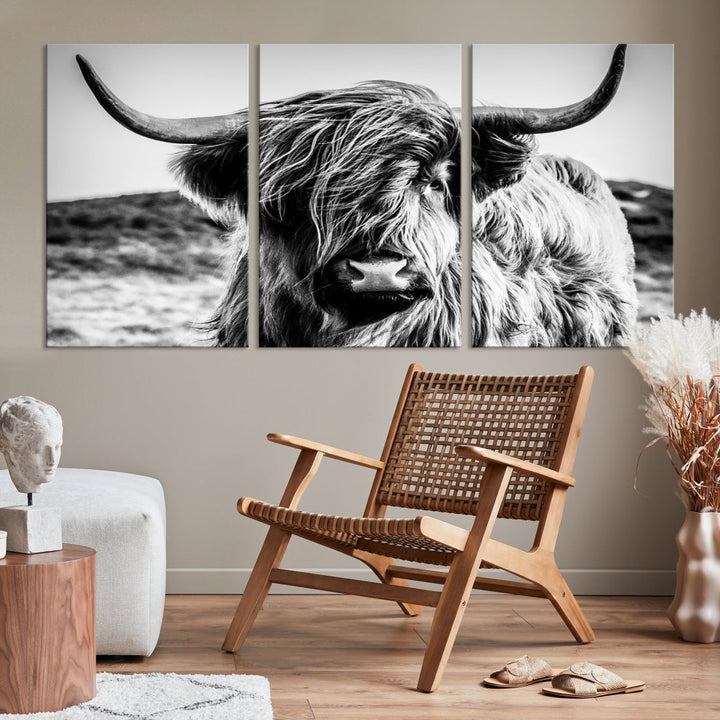 Handsome Scottish Cow Black and White Animal Wall Decor Nature Canvas Art Print