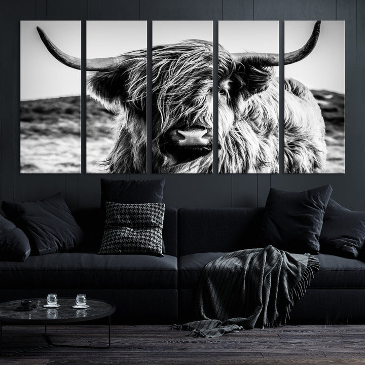 Handsome Scottish Cow Black and White Animal Wall Decor Nature Canvas Art Print