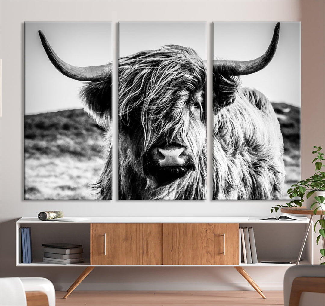 Handsome Scottish Cow Black and White Animal Wall Decor Nature Canvas Art Print