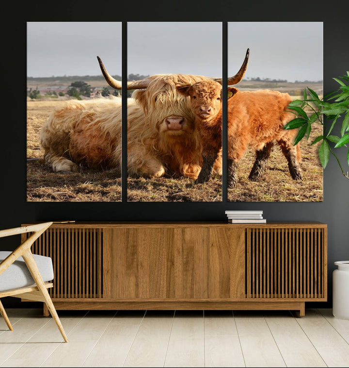 Highland Cow Canvas Wall Art Animal Print Pictures Highland Fluffy Cattle Photo Framed Farmhouse Painting