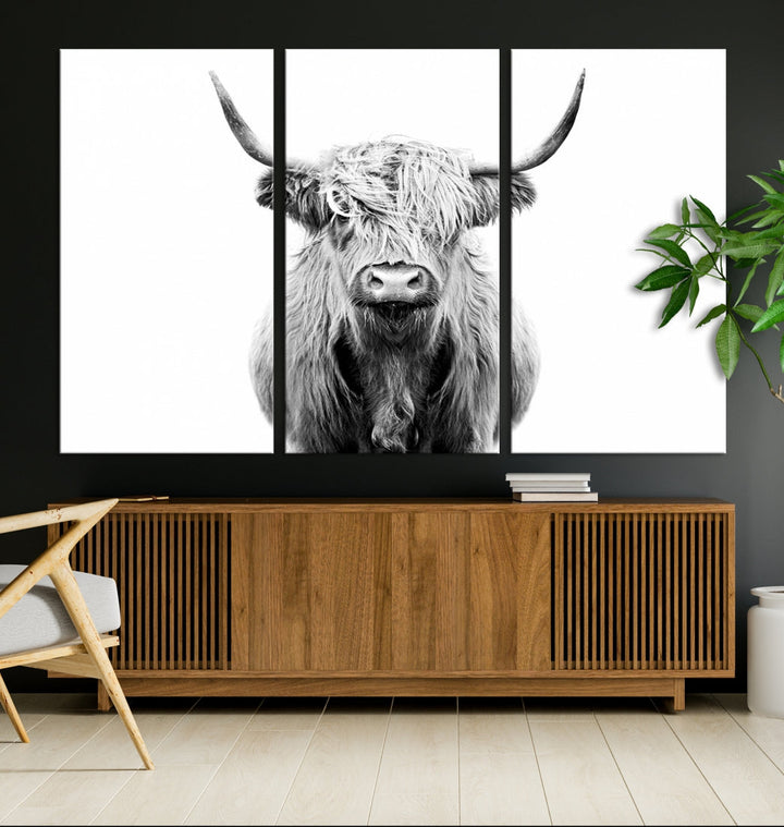 Highland Cow Canvas Wall Art Farmhouse Decor Cow Black White Print Rustic Wall Decor Animals Painting Scottish Cow Wall Art