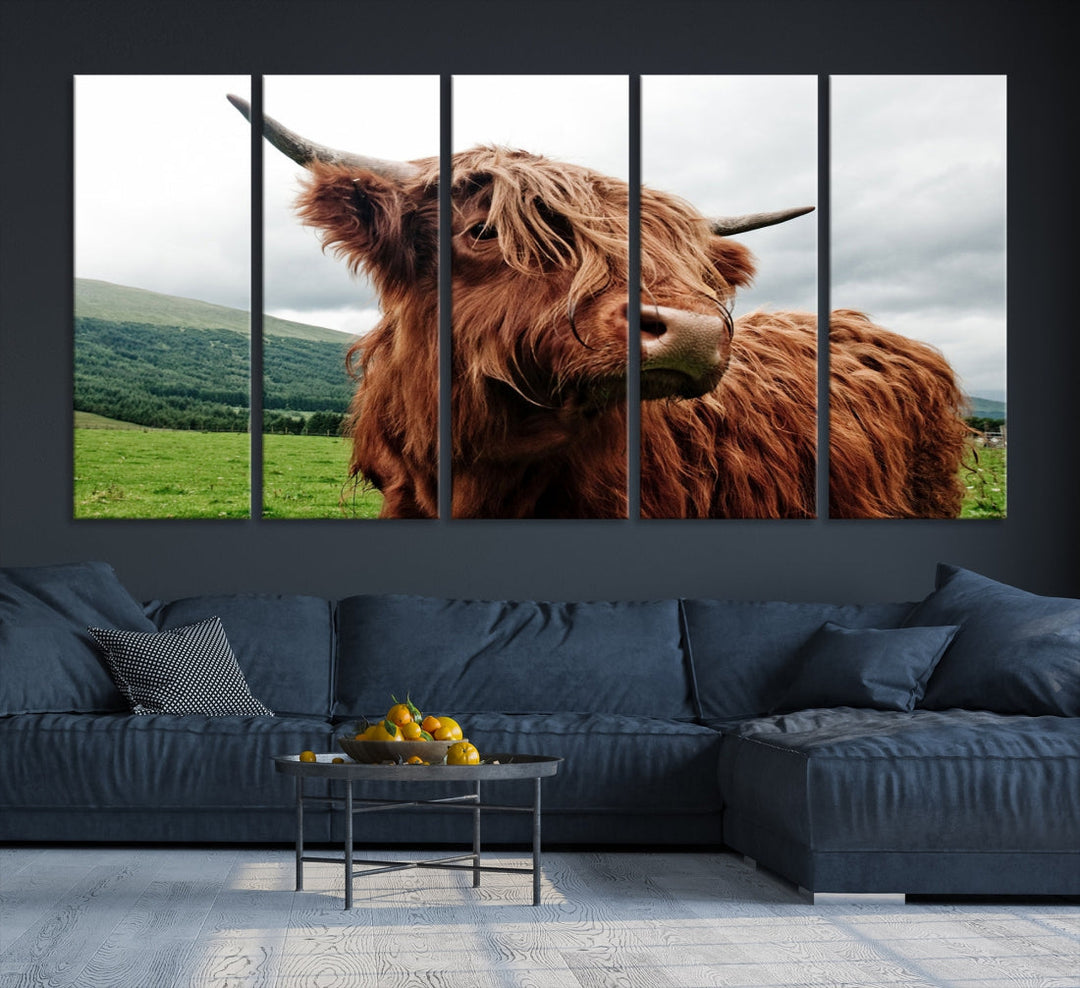 Highland Cow Canvas Wall Art Large Print Wall Art Animal Canvas Art Cow Print Framed Piece Canvas Art Ready to Hang