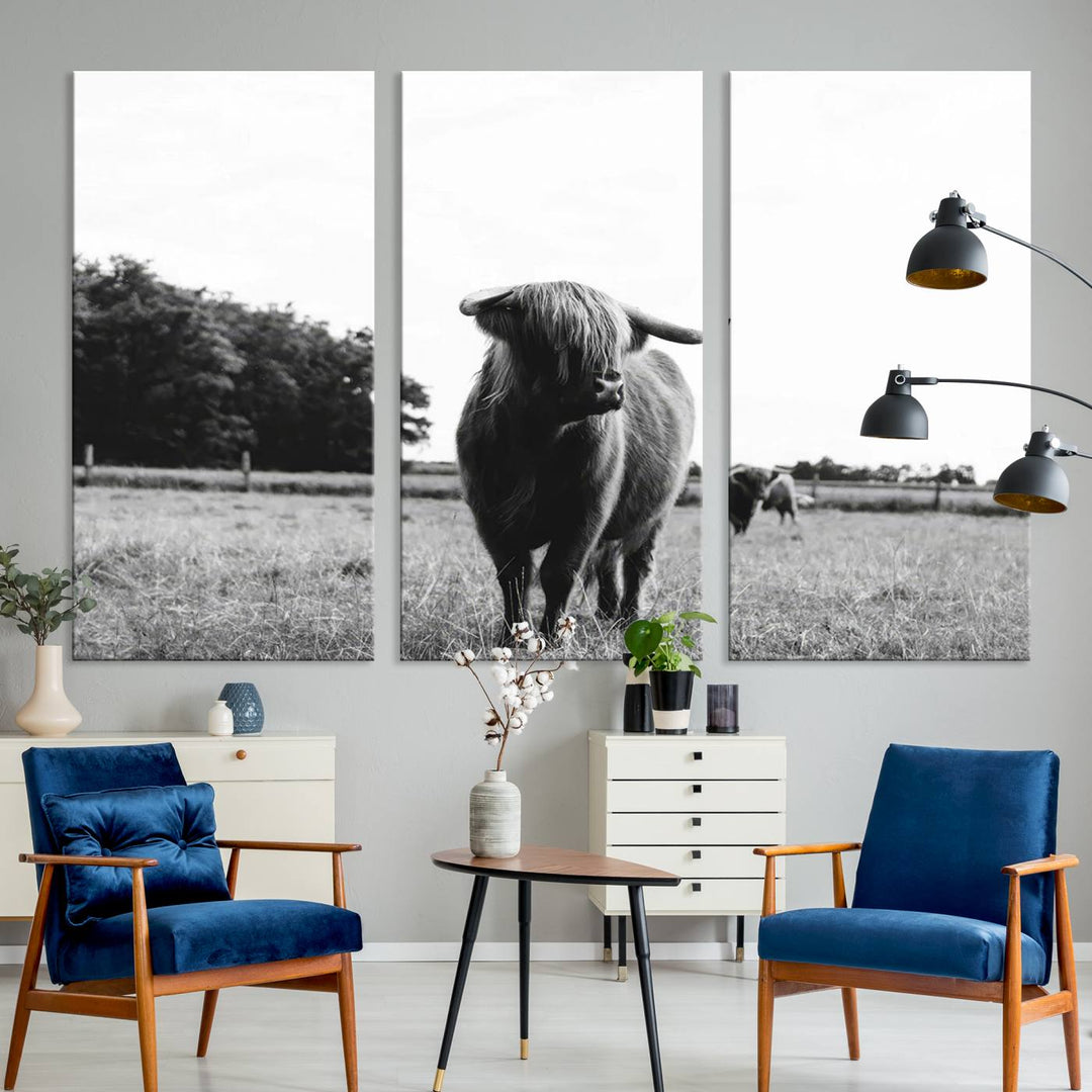 Highland Cow Canvas Wall Art Print - Black and White Scottish Highland Cow Photography Canvas Print, Farmhouse Decor for Living Room or Office