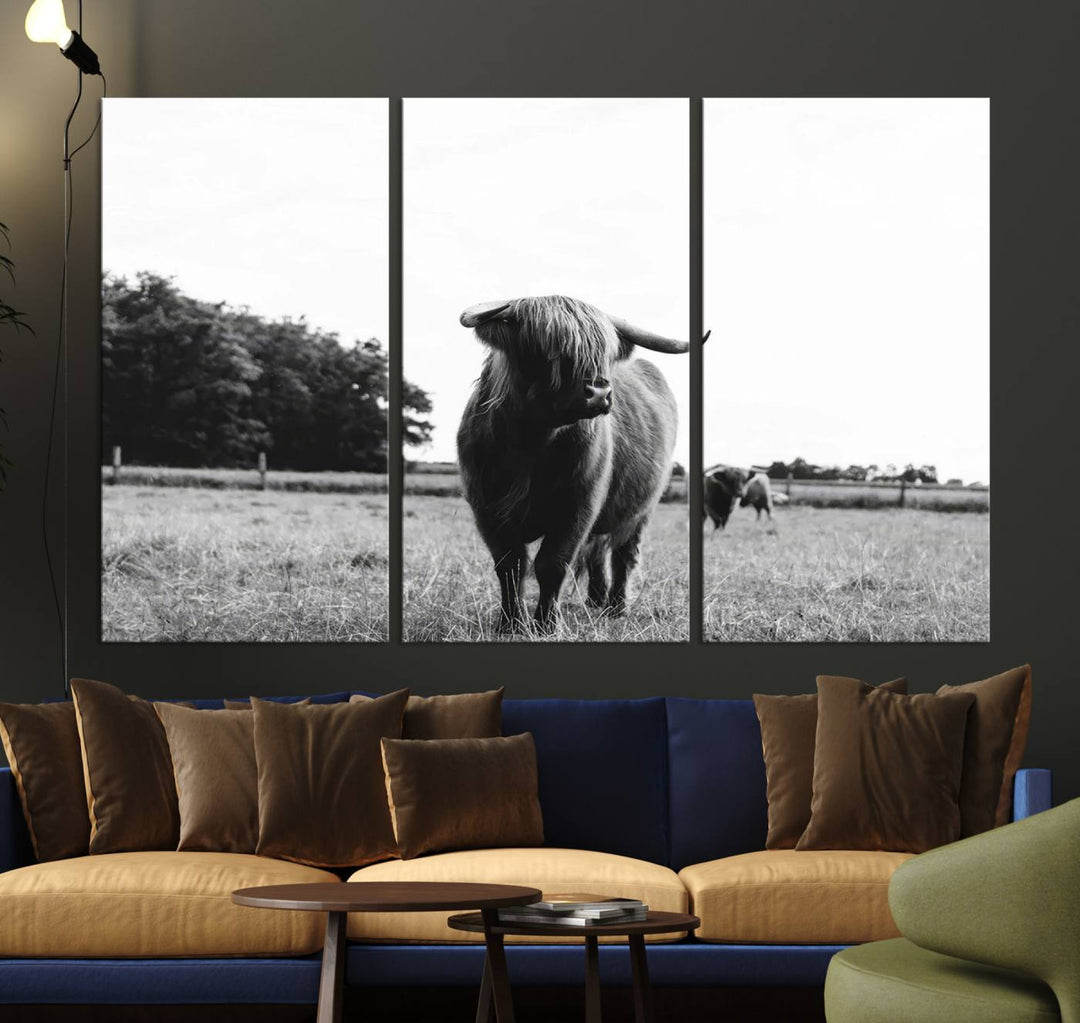 Highland Cow Canvas Wall Art Print - Black and White Scottish Highland Cow Photography Canvas Print, Farmhouse Decor for Living Room or Office