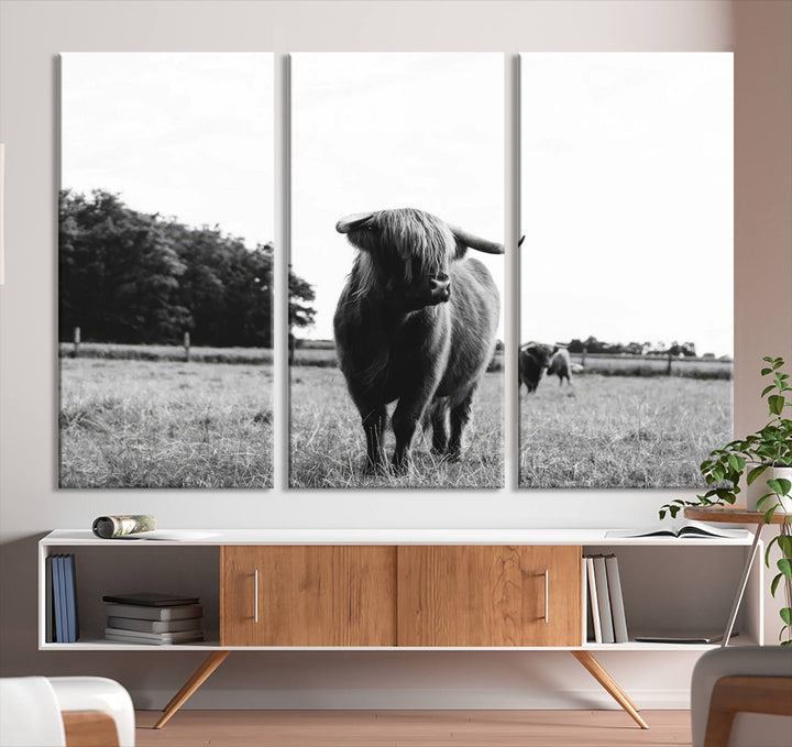 Highland Cow Canvas Wall Art Print - Black and White Scottish Highland Cow Photography Canvas Print, Farmhouse Decor for Living Room or Office