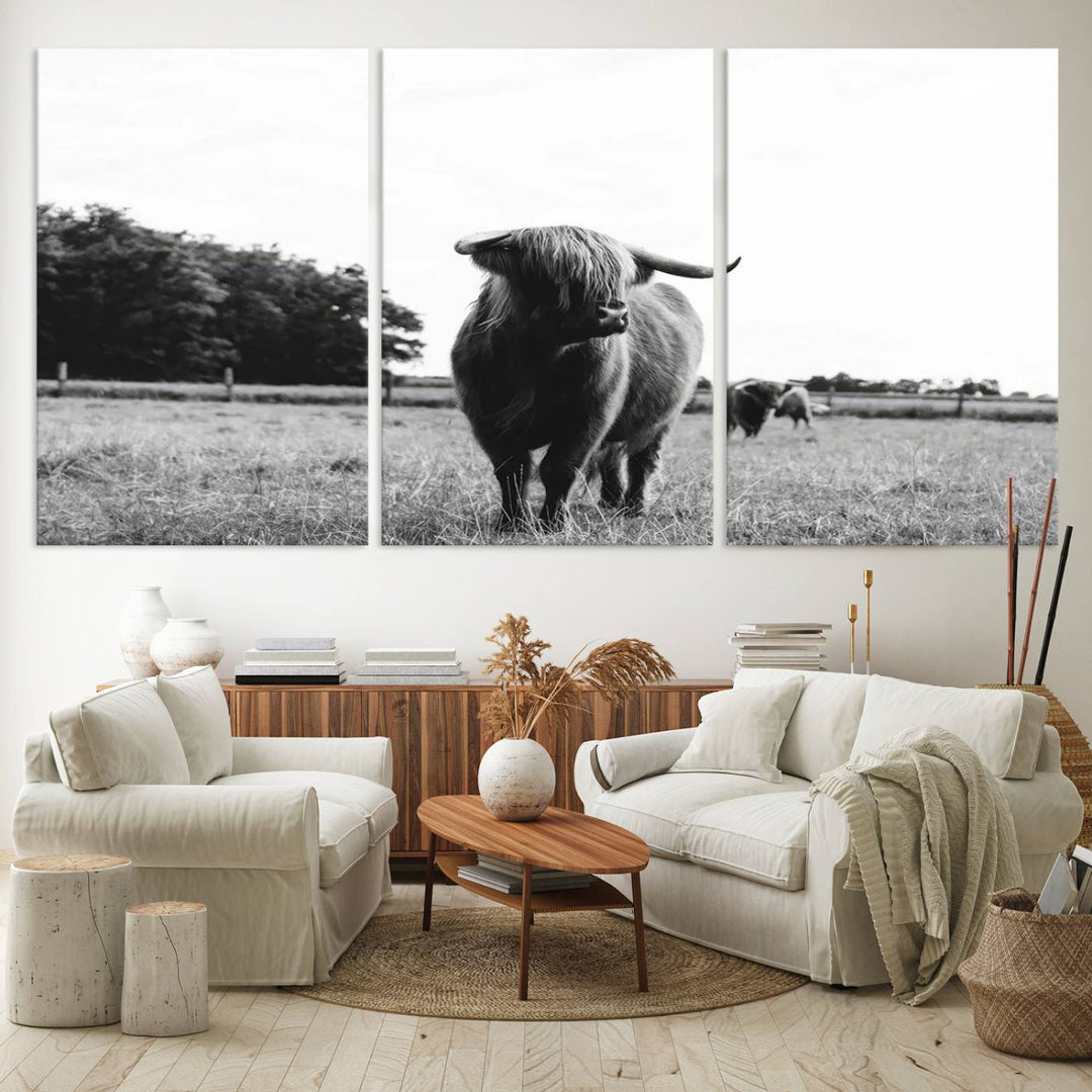 Highland Cow Canvas Wall Art Print - Black and White Scottish Highland Cow Photography Canvas Print, Farmhouse Decor for Living Room or Office