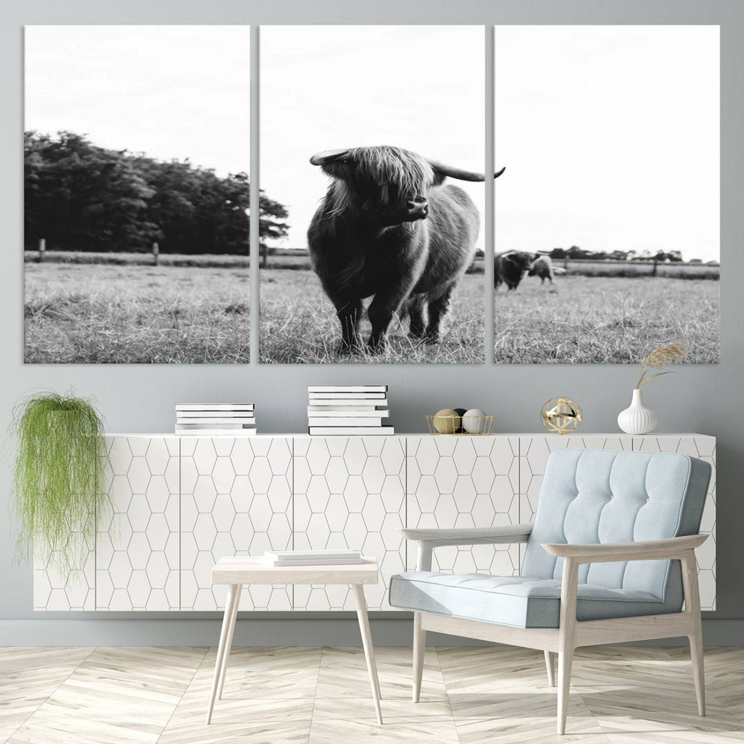 Highland Cow Canvas Wall Art Print - Black and White Scottish Highland Cow Photography Canvas Print, Farmhouse Decor for Living Room or Office