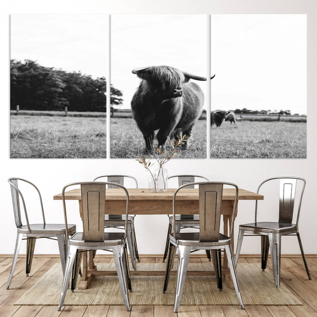 Highland Cow Canvas Wall Art Print - Black and White Scottish Highland Cow Photography Canvas Print, Farmhouse Decor for Living Room or Office