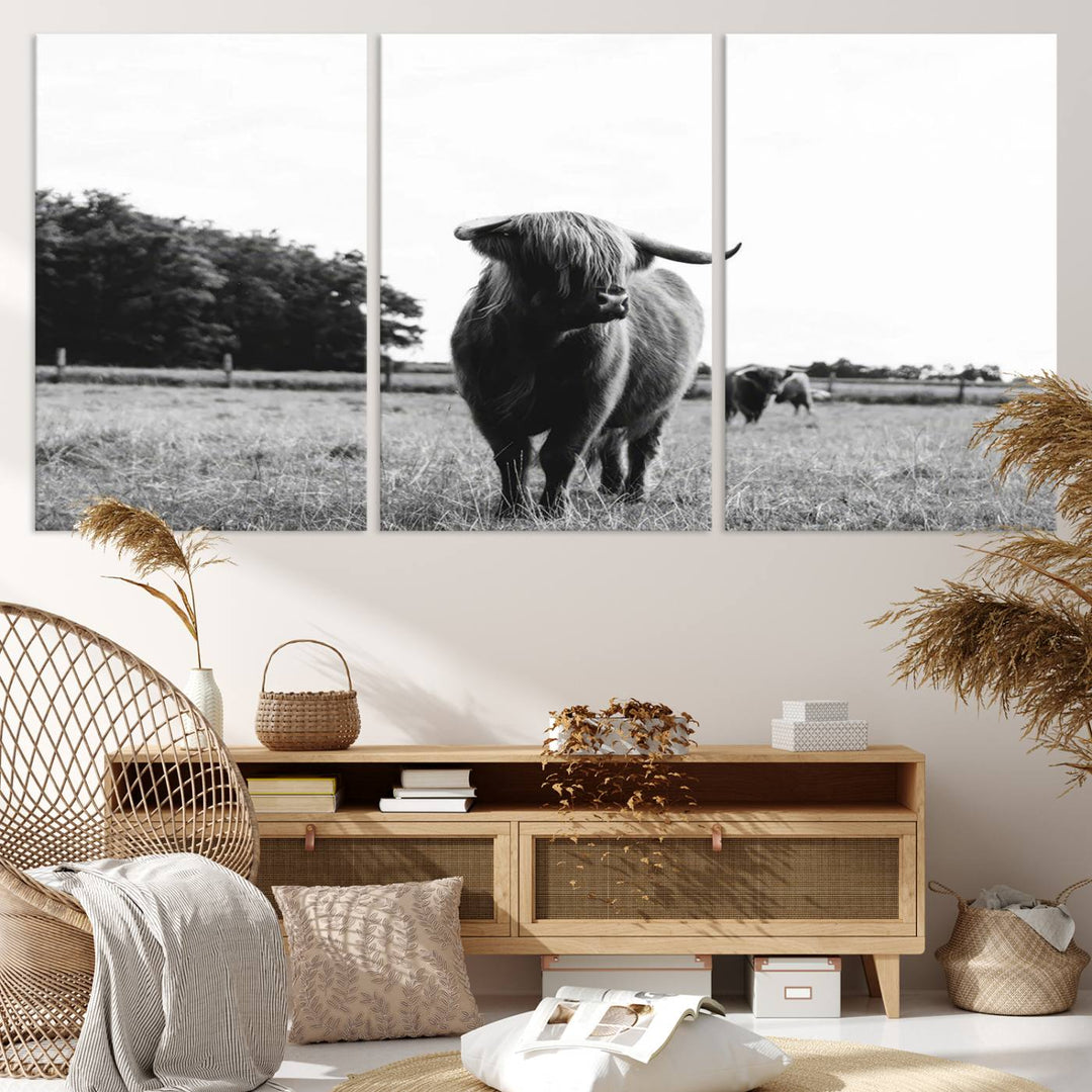 Highland Cow Canvas Wall Art Print - Black and White Scottish Highland Cow Photography Canvas Print, Farmhouse Decor for Living Room or Office