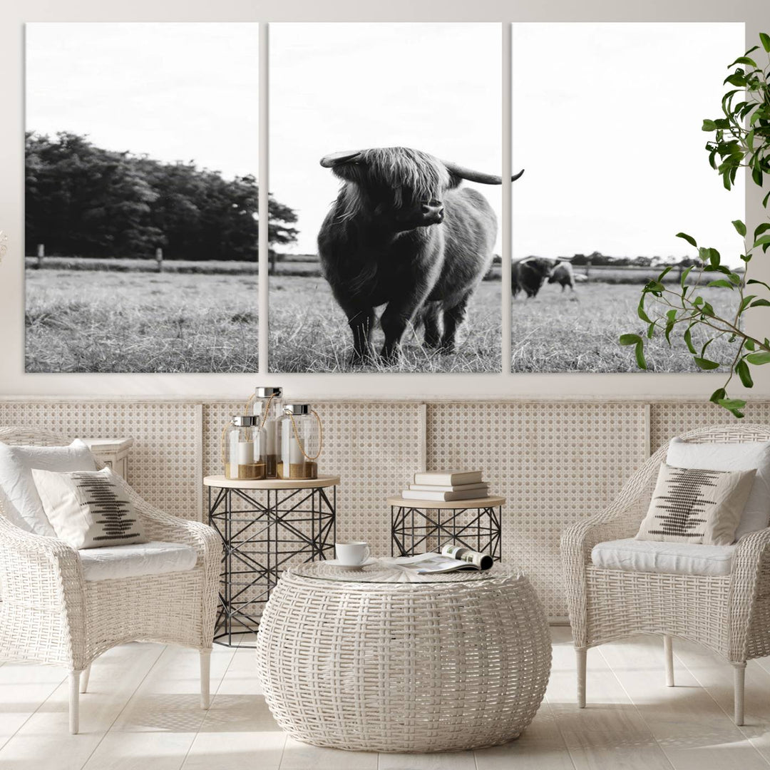 Highland Cow Canvas Wall Art Print - Black and White Scottish Highland Cow Photography Canvas Print, Farmhouse Decor for Living Room or Office