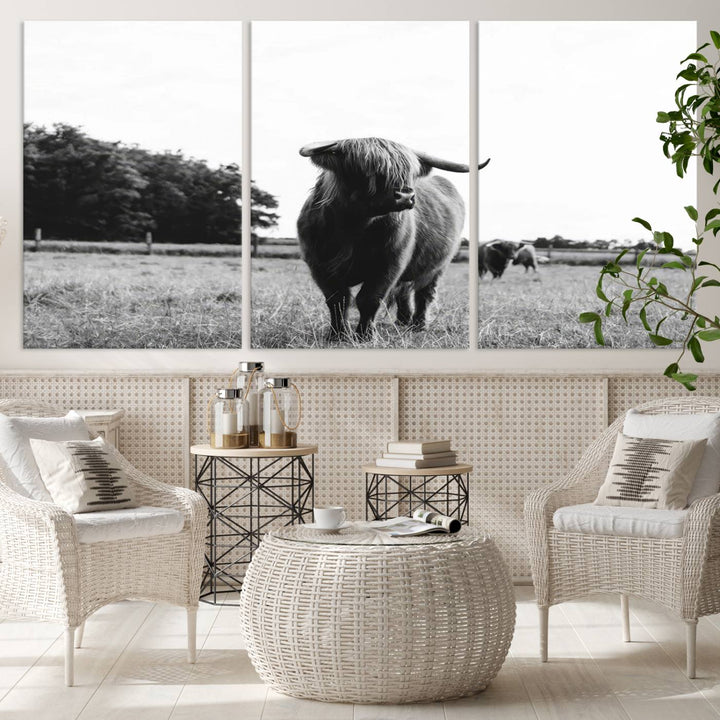 Highland Cow Canvas Wall Art Print - Black and White Scottish Highland Cow Photography Canvas Print, Farmhouse Decor for Living Room or Office