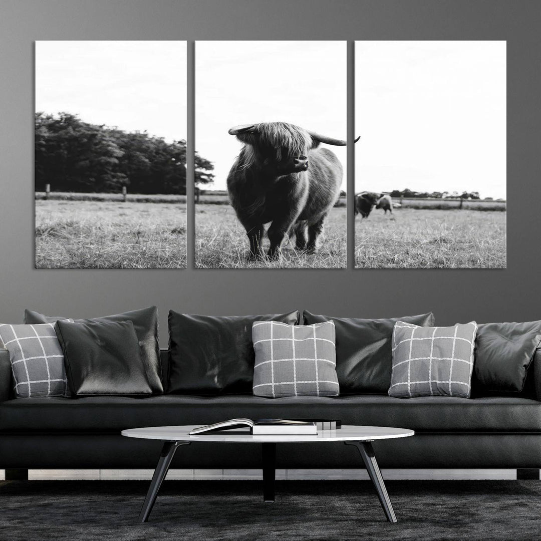 Highland Cow Canvas Wall Art Print - Black and White Scottish Highland Cow Photography Canvas Print, Farmhouse Decor for Living Room or Office