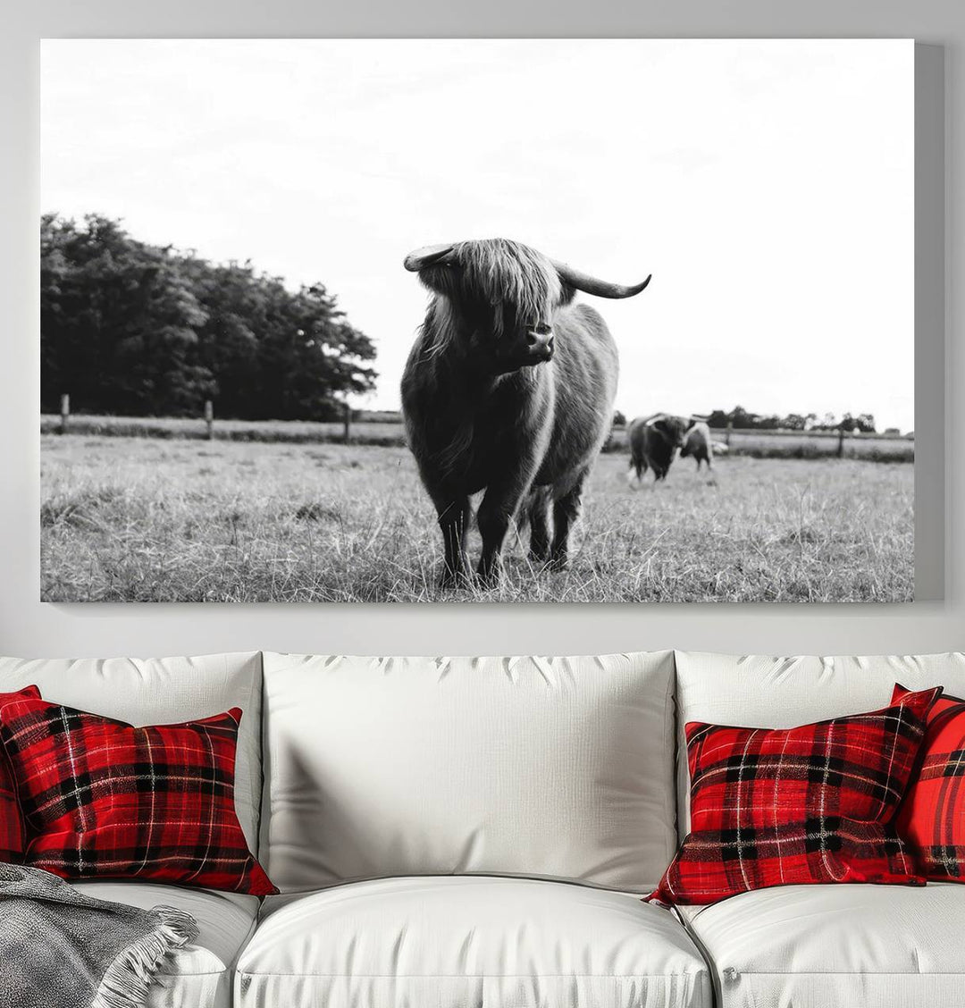 Highland Cow Canvas Wall Art Print - Black and White Scottish Highland Cow Photography Canvas Print, Farmhouse Decor for Living Room or Office