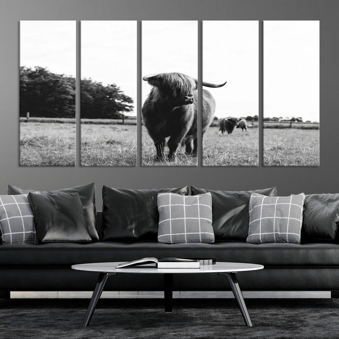 Highland Cow Canvas Wall Art Print - Black and White Scottish Highland Cow Photography Canvas Print, Farmhouse Decor for Living Room or Office