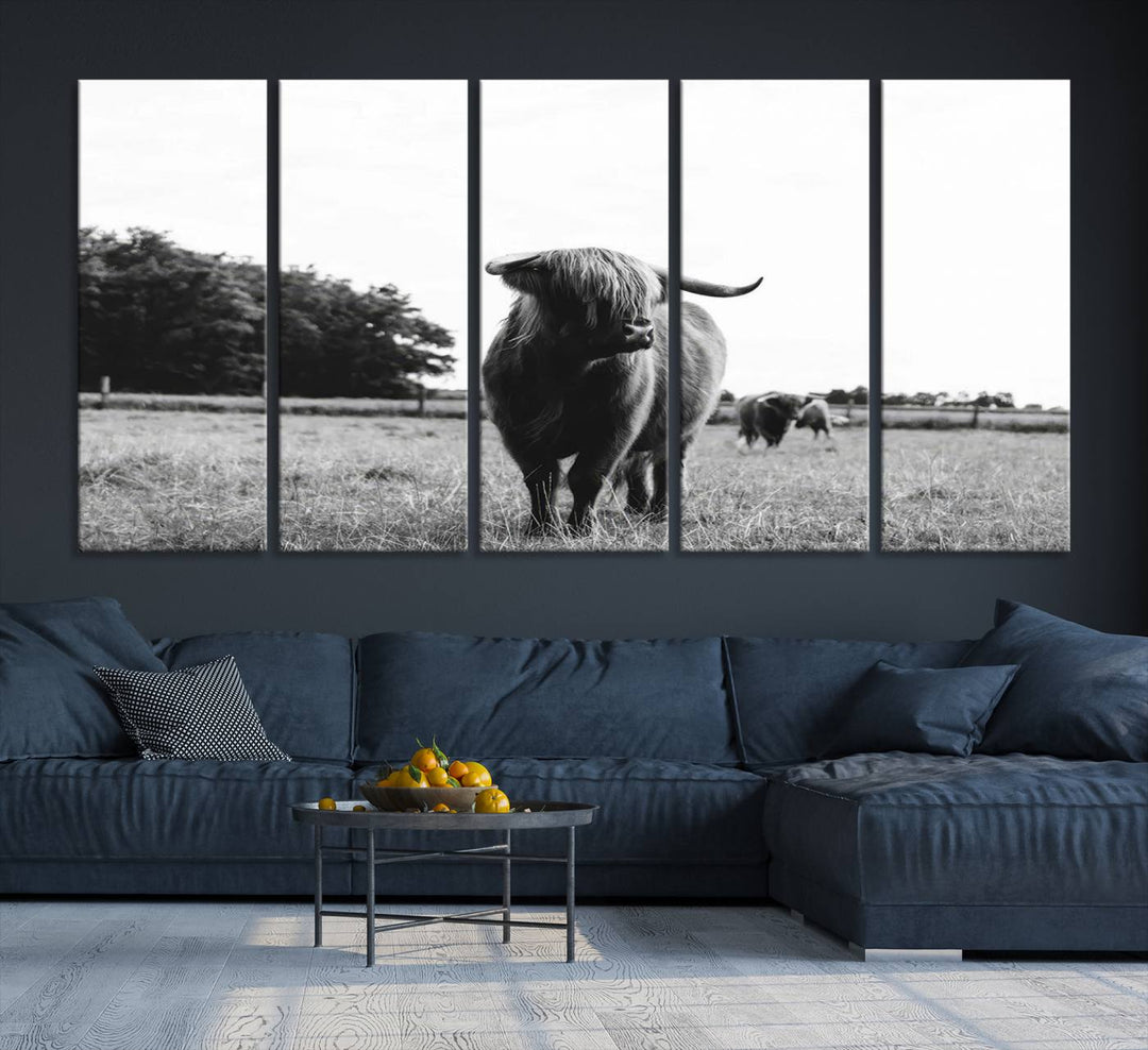 Highland Cow Canvas Wall Art Print - Black and White Scottish Highland Cow Photography Canvas Print, Farmhouse Decor for Living Room or Office