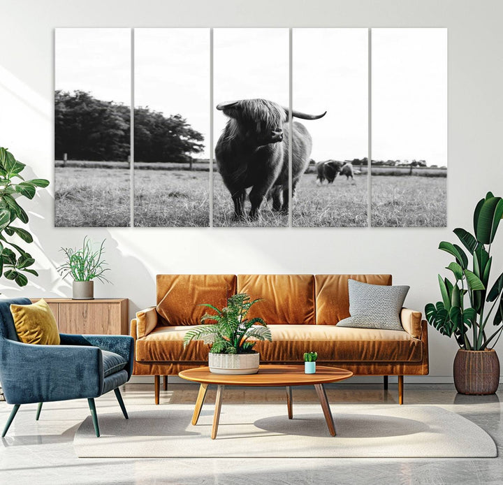 Highland Cow Canvas Wall Art Print - Black and White Scottish Highland Cow Photography Canvas Print, Farmhouse Decor for Living Room or Office