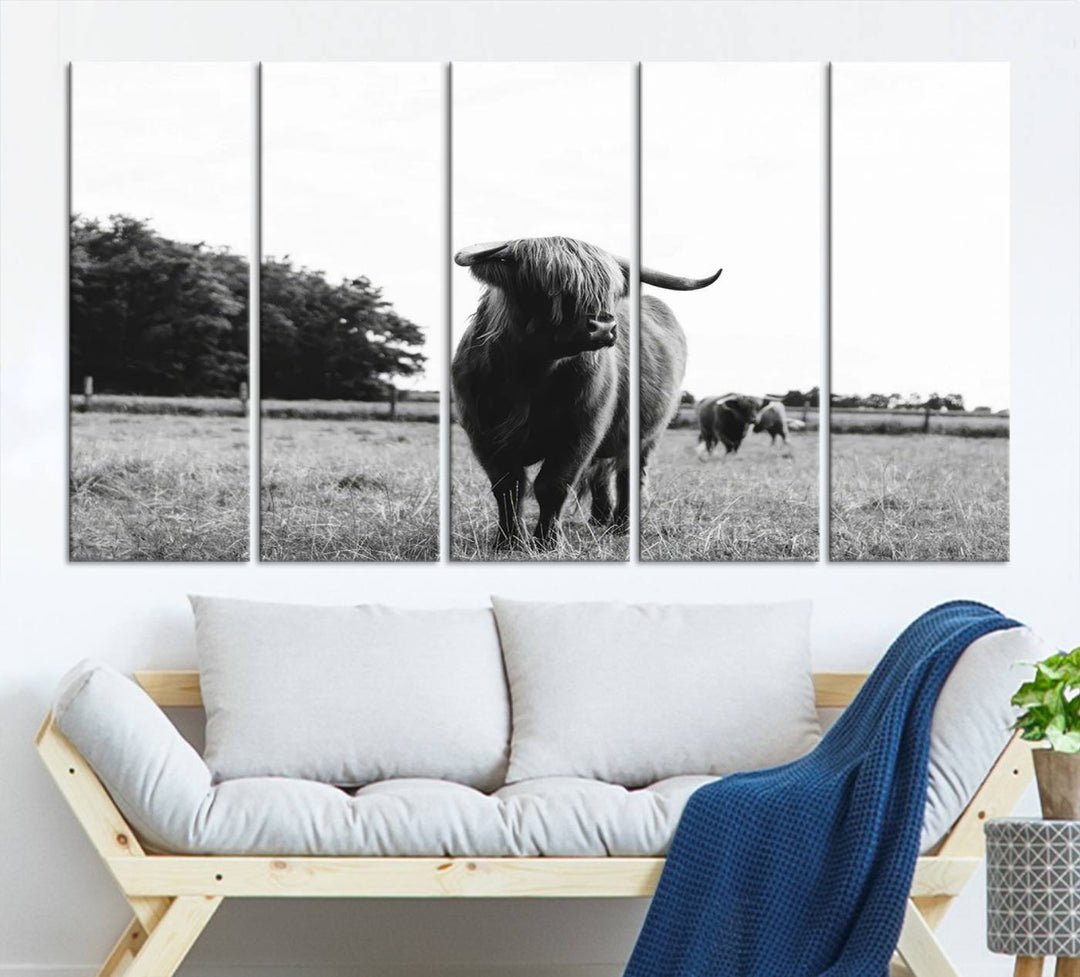 Highland Cow Canvas Wall Art Print - Black and White Scottish Highland Cow Photography Canvas Print, Farmhouse Decor for Living Room or Office