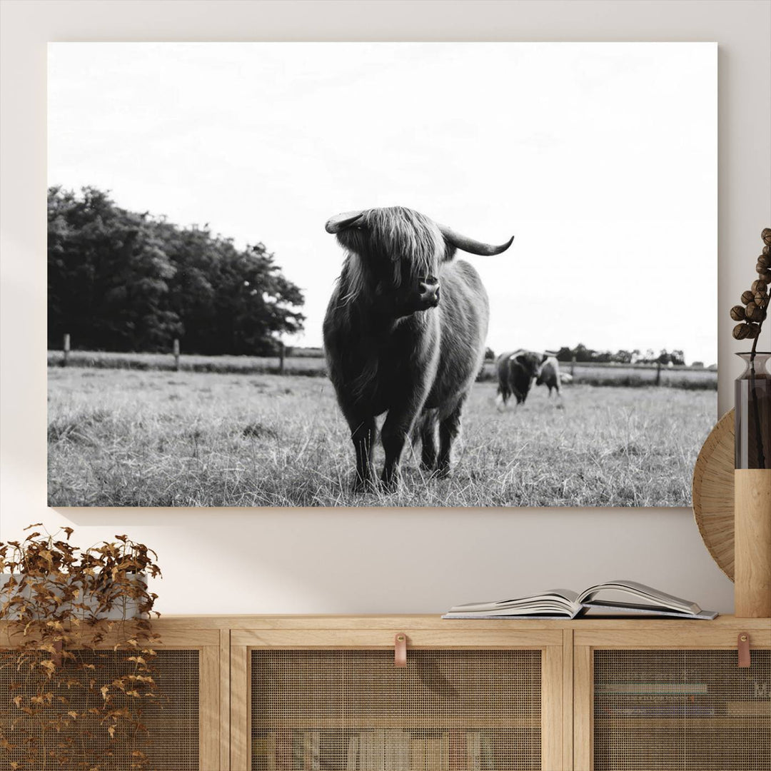 Highland Cow Canvas Wall Art Print - Black and White Scottish Highland Cow Photography Canvas Print, Farmhouse Decor for Living Room or Office