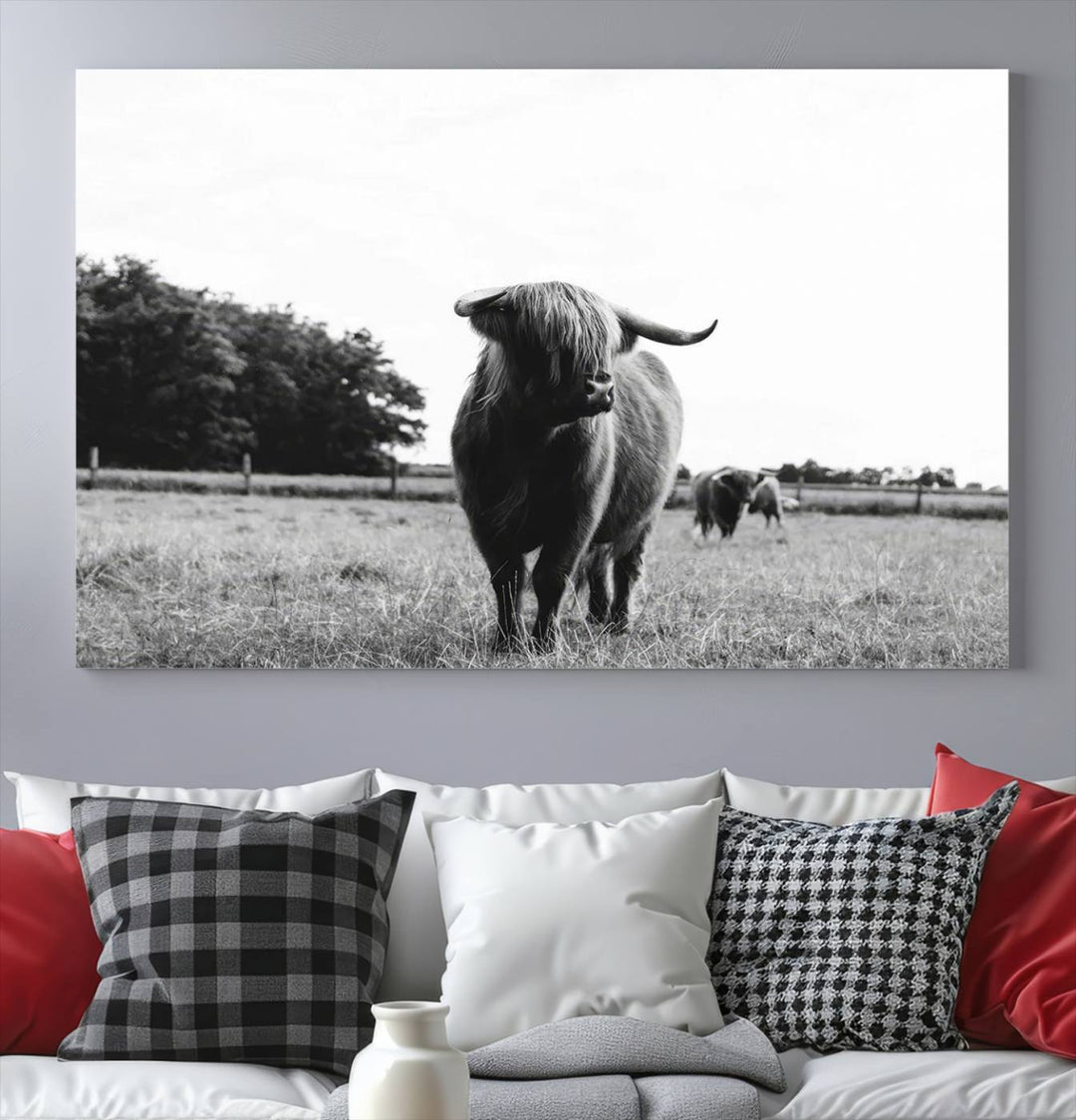 Highland Cow Canvas Wall Art Print - Black and White Scottish Highland Cow Photography Canvas Print, Farmhouse Decor for Living Room or Office