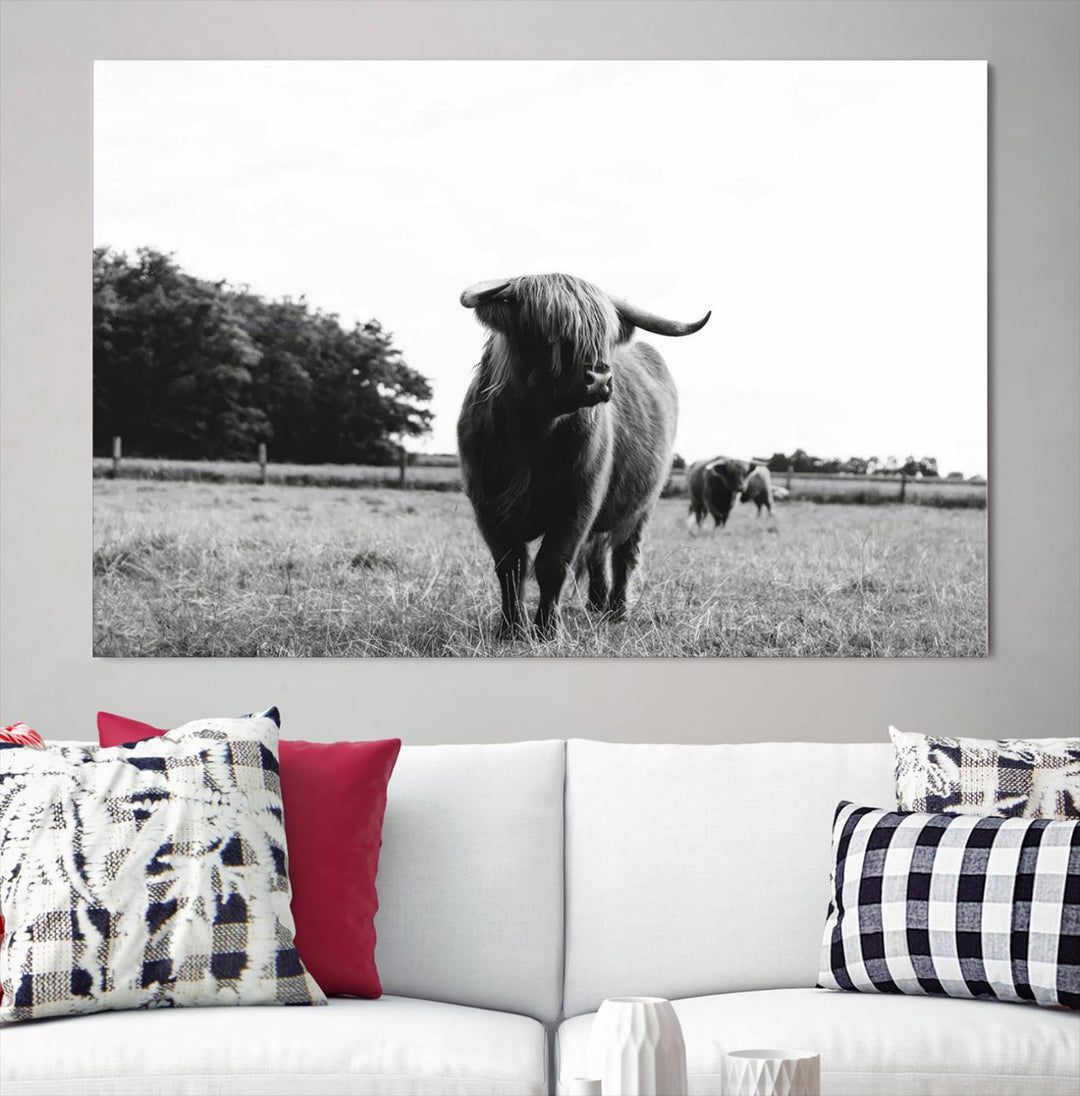 Highland Cow Canvas Wall Art Print - Black and White Scottish Highland Cow Photography Canvas Print, Farmhouse Decor for Living Room or Office