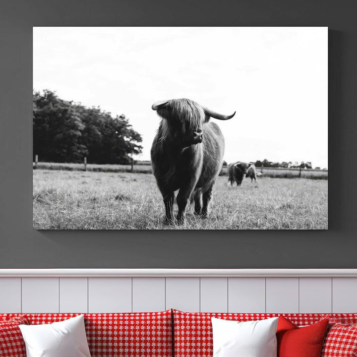 Highland Cow Canvas Wall Art Print - Black and White Scottish Highland Cow Photography Canvas Print, Farmhouse Decor for Living Room or Office