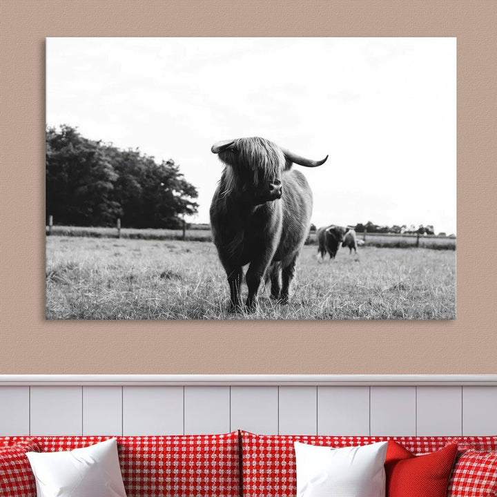 Highland Cow Canvas Wall Art Print - Black and White Scottish Highland Cow Photography Canvas Print, Farmhouse Decor for Living Room or Office