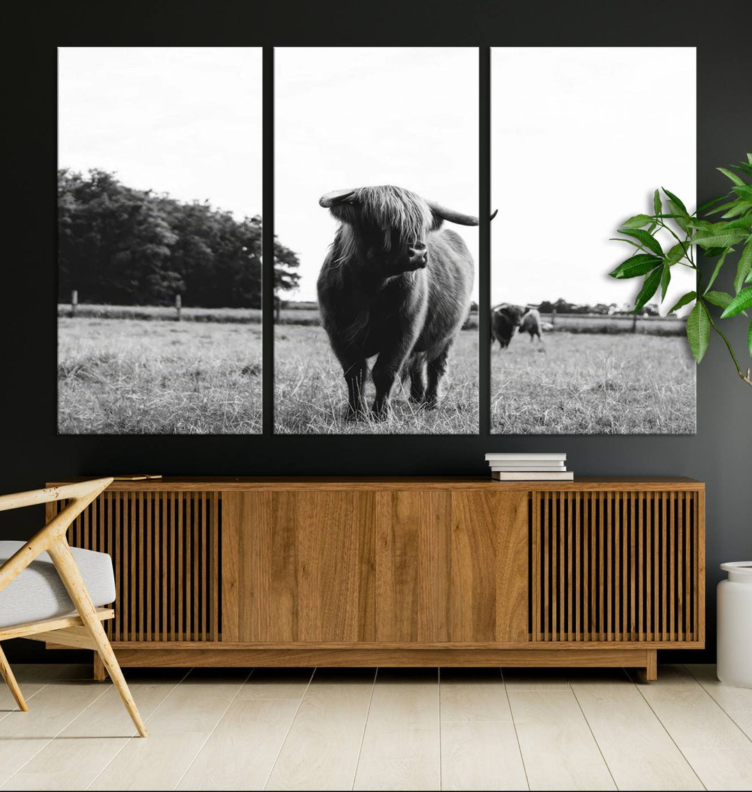 Highland Cow Canvas Wall Art Print - Black and White Scottish Highland Cow Photography Canvas Print, Farmhouse Decor for Living Room or Office