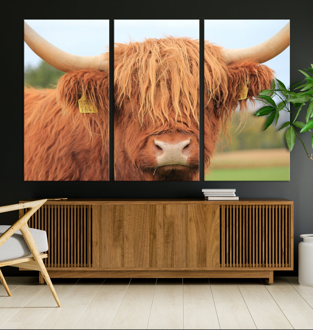 Highland Cow Close-up Canvas Wall Art Print Multi Panel Extra Large Canvas Set Framed Ready to Hang Artwork