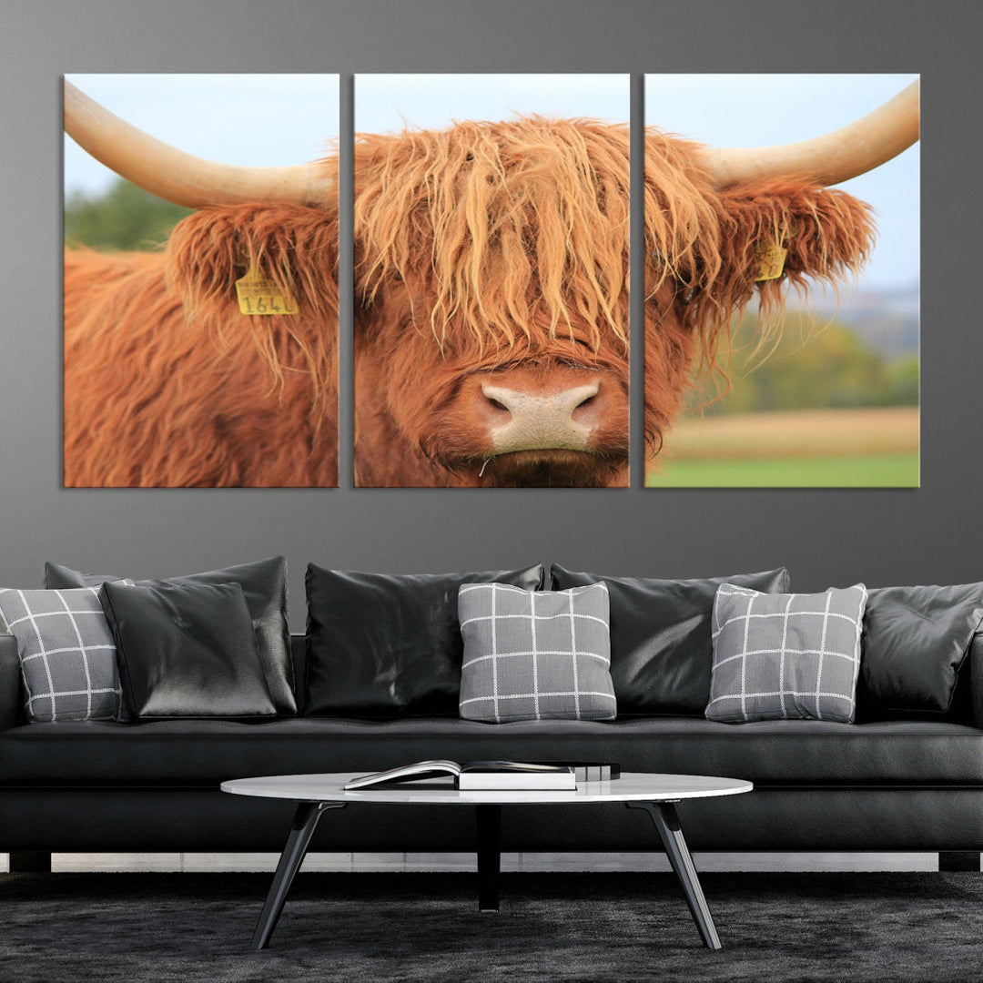 Highland Cow Close-up Canvas Wall Art Print Multi Panel Extra Large Canvas Set Framed Ready to Hang Artwork