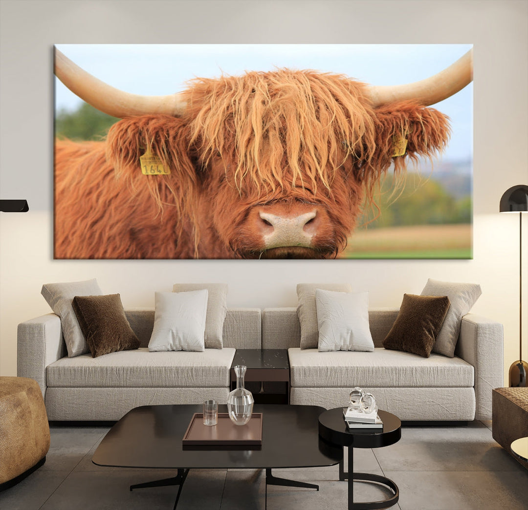 Highland Cow Close-up Canvas Wall Art Print Multi Panel Extra Large Canvas Set Framed Ready to Hang Artwork