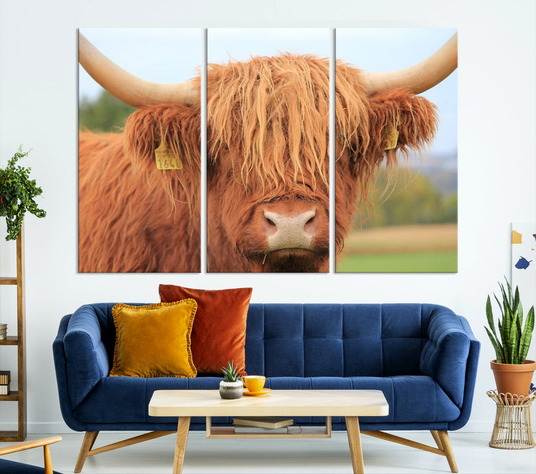 Highland Cow Close-up Canvas Wall Art Print Multi Panel Extra Large Canvas Set Framed Ready to Hang Artwork