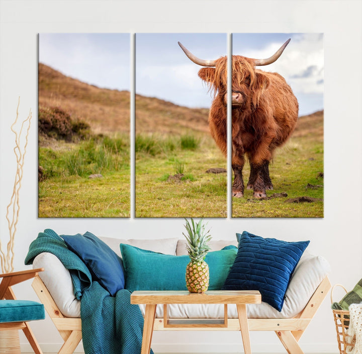 Highland Cow Large Animal Canvas Wall Art Texas Cow Canvas Art Cattle Photograph Art Canvas Picture Animal Art Print