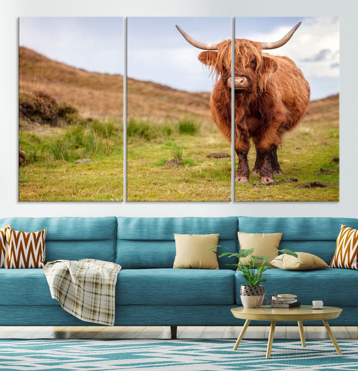 Highland Cow Large Animal Canvas Wall Art Texas Cow Canvas Art Cattle Photograph Art Canvas Picture Animal Art Print