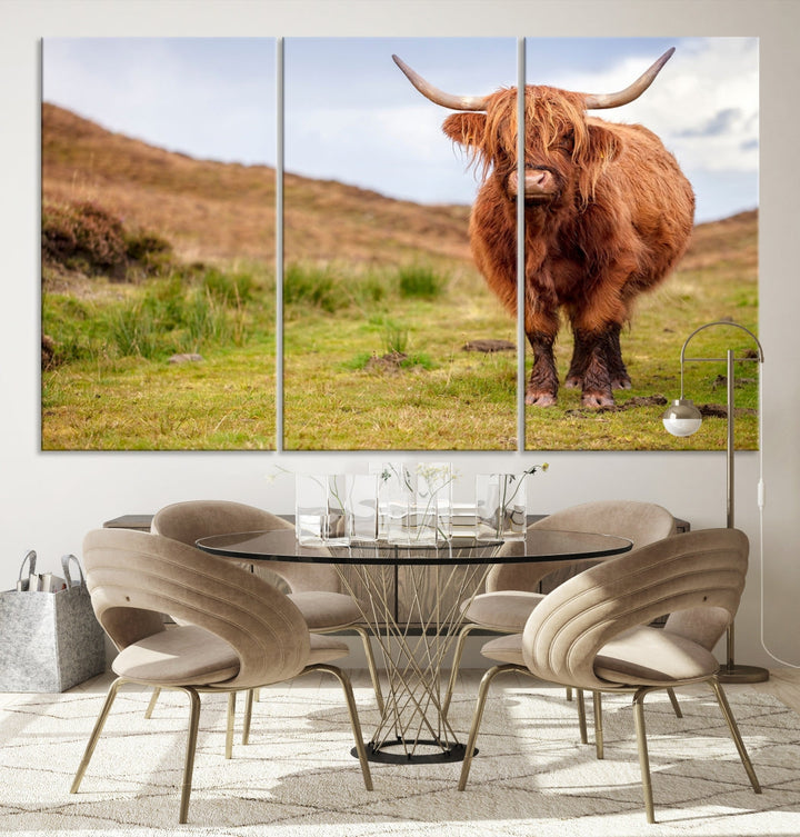 Highland Cow Large Animal Canvas Wall Art Texas Cow Canvas Art Cattle Photograph Art Canvas Picture Animal Art Print