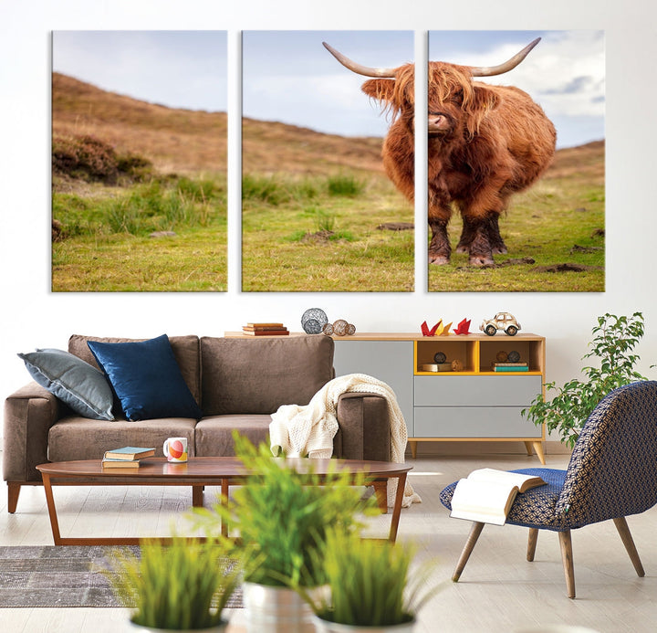 Highland Cow Large Animal Canvas Wall Art Texas Cow Canvas Art Cattle Photograph Art Canvas Picture Animal Art Print