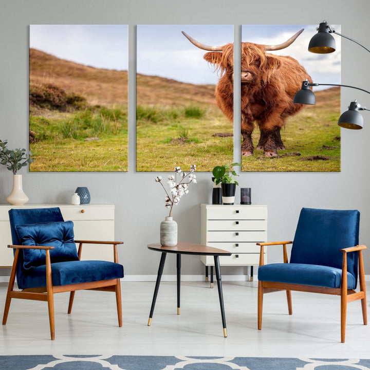 Highland Cow Large Animal Canvas Wall Art Texas Cow Canvas Art Cattle Photograph Art Canvas Picture Animal Art Print