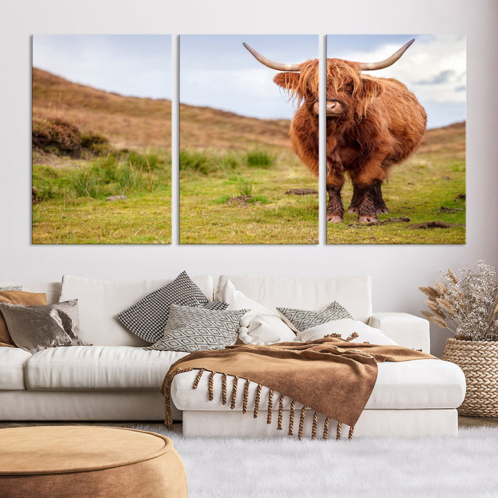 Highland Cow Large Animal Canvas Wall Art Texas Cow Canvas Art Cattle Photograph Art Canvas Picture Animal Art Print