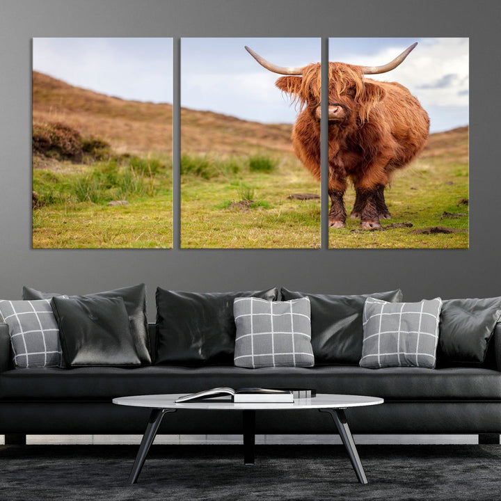 Highland Cow Large Animal Canvas Wall Art Texas Cow Canvas Art Cattle Photograph Art Canvas Picture Animal Art Print