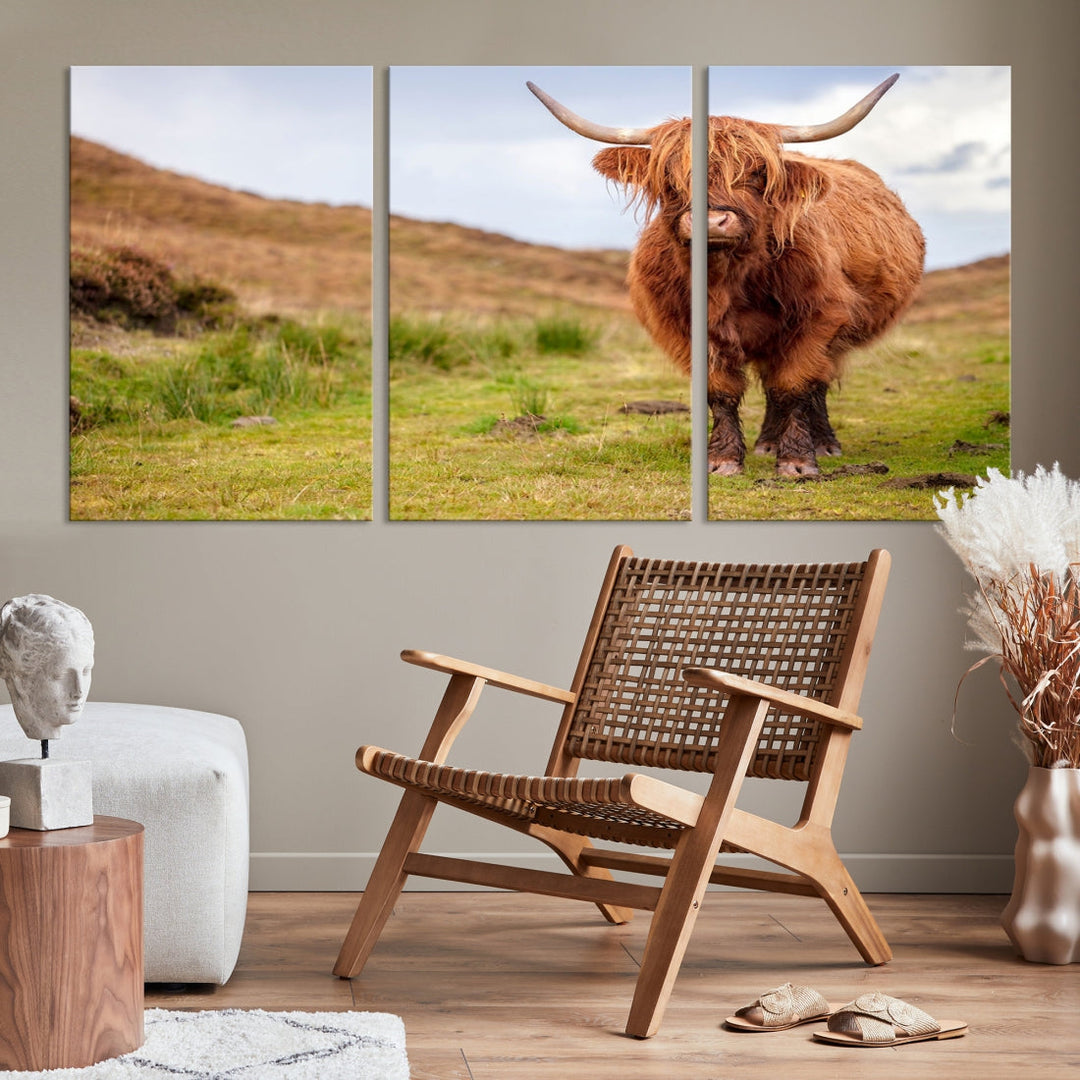 Highland Cow Large Animal Canvas Wall Art Texas Cow Canvas Art Cattle Photograph Art Canvas Picture Animal Art Print