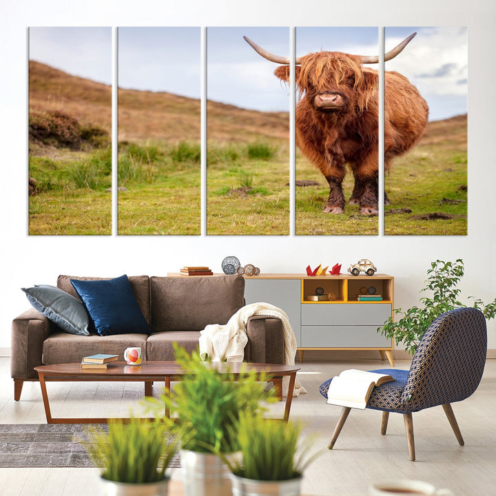 Highland Cow Large Animal Canvas Wall Art Texas Cow Canvas Art Cattle Photograph Art Canvas Picture Animal Art Print