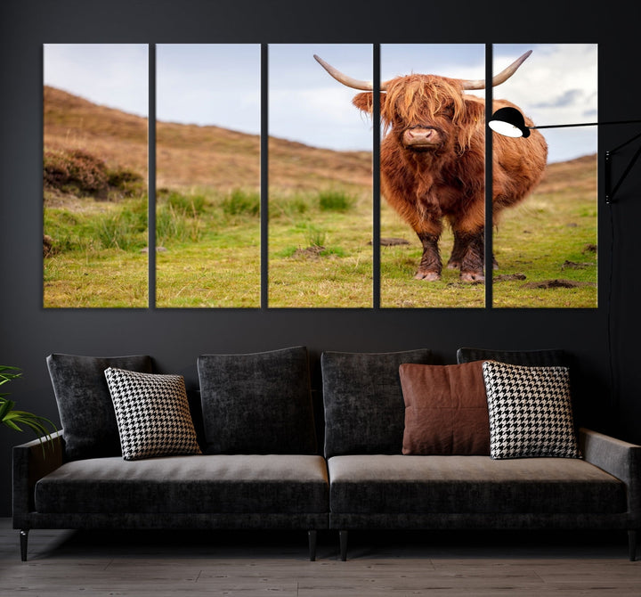 Highland Cow Large Animal Canvas Wall Art Texas Cow Canvas Art Cattle Photograph Art Canvas Picture Animal Art Print