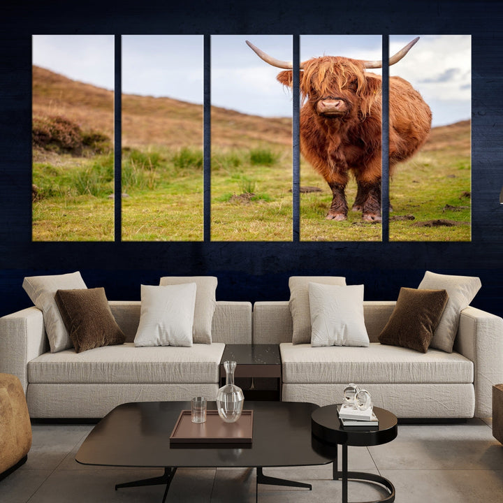 Highland Cow Large Animal Canvas Wall Art Texas Cow Canvas Art Cattle Photograph Art Canvas Picture Animal Art Print