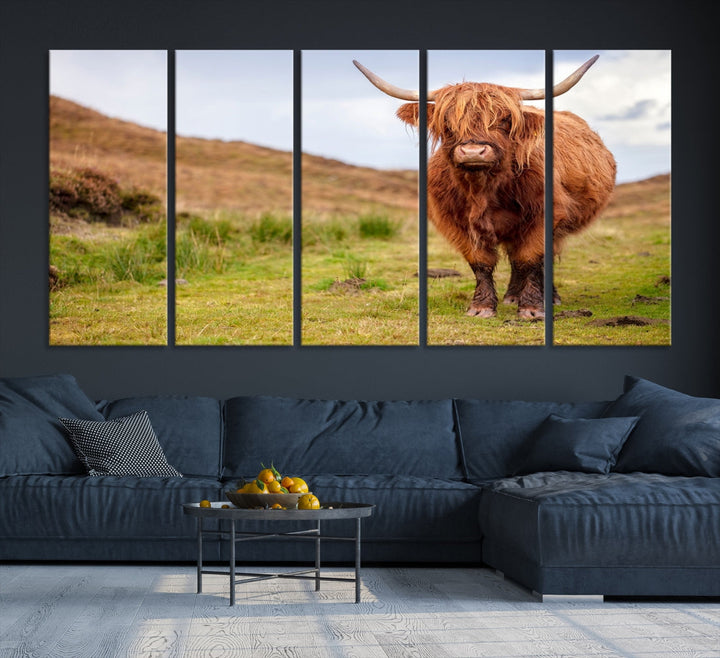 Highland Cow Large Animal Canvas Wall Art Texas Cow Canvas Art Cattle Photograph Art Canvas Picture Animal Art Print