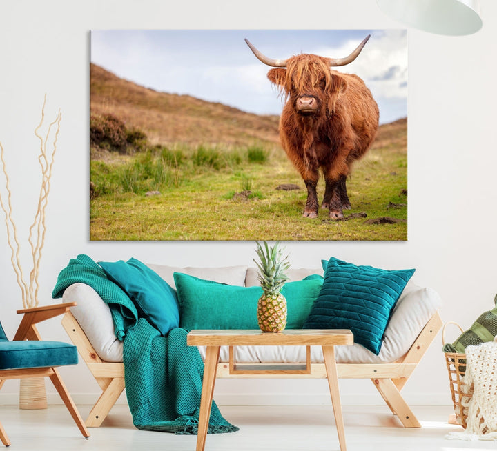 Highland Cow Large Animal Canvas Wall Art Texas Cow Canvas Art Cattle Photograph Art Canvas Picture Animal Art Print