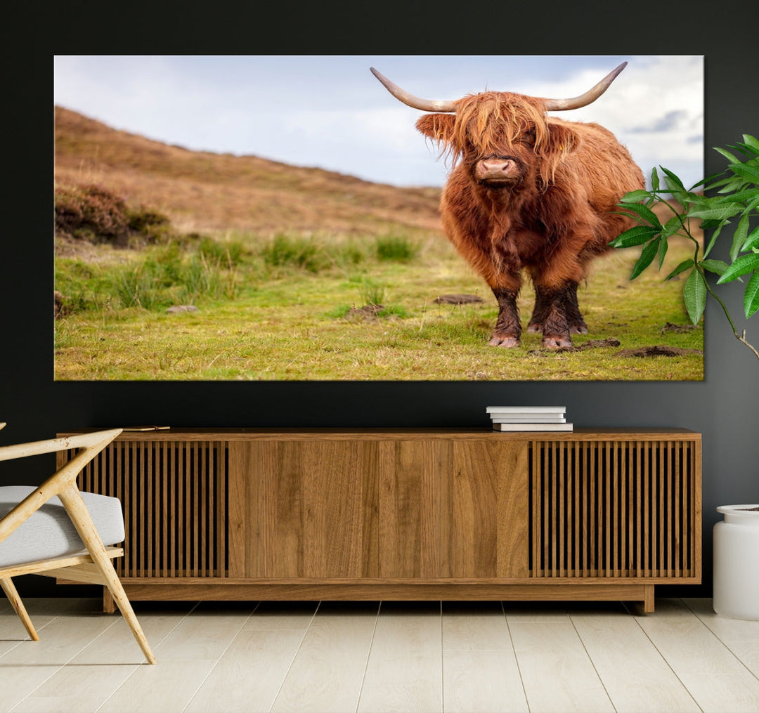 Highland Cow Large Animal Canvas Wall Art Texas Cow Canvas Art Cattle Photograph Art Canvas Picture Animal Art Print