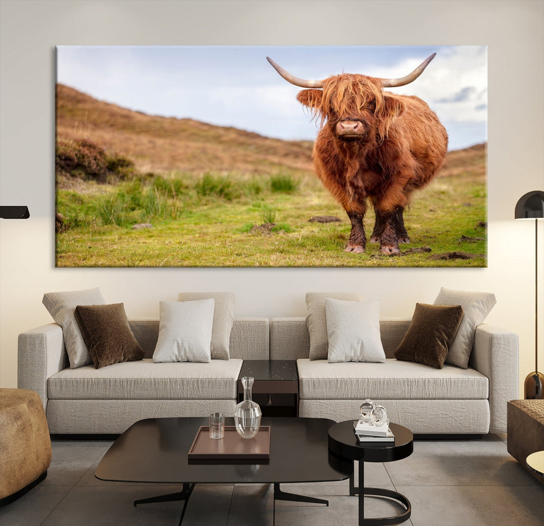 Highland Cow Large Animal Canvas Wall Art Texas Cow Canvas Art Cattle Photograph Art Canvas Picture Animal Art Print