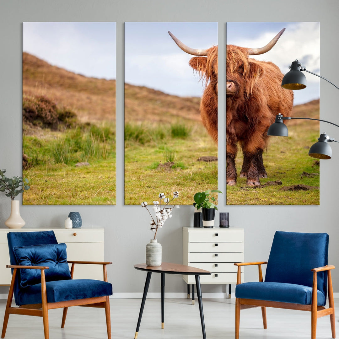 Highland Cow Large Animal Canvas Wall Art Texas Cow Canvas Art Cattle Photograph Art Canvas Picture Animal Art Print